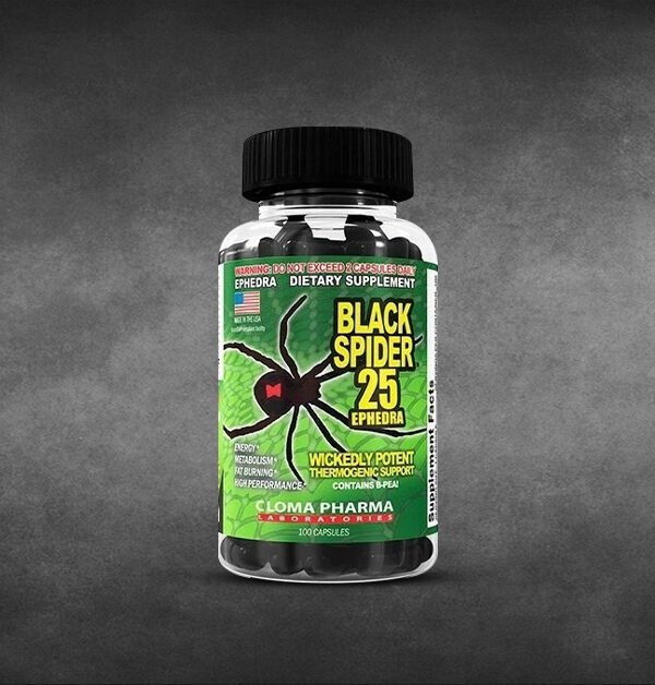 Black Spider
